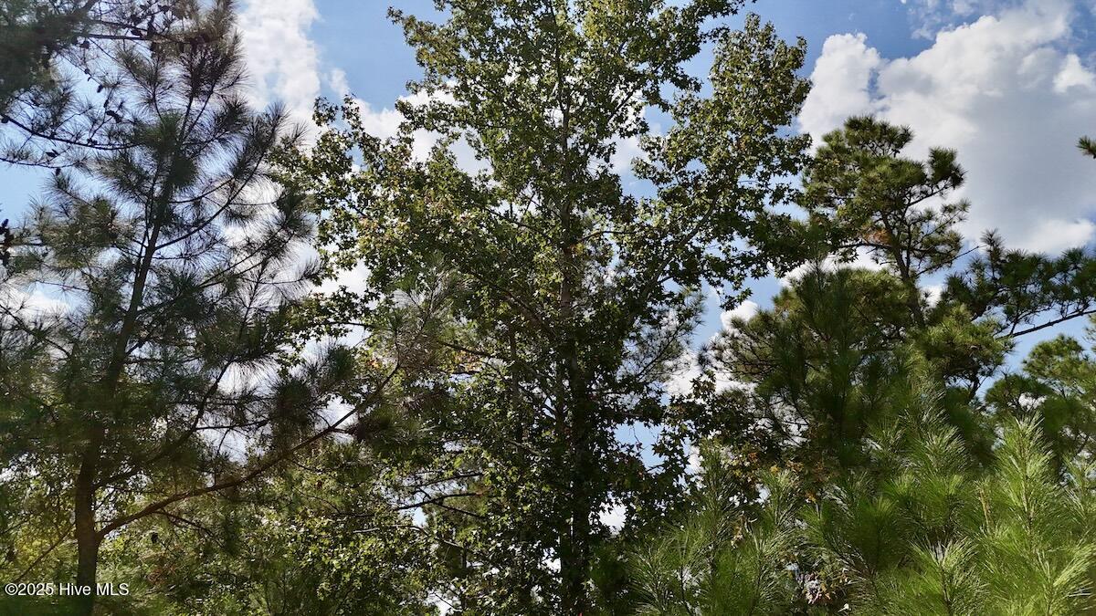 100531803 | Photo 18