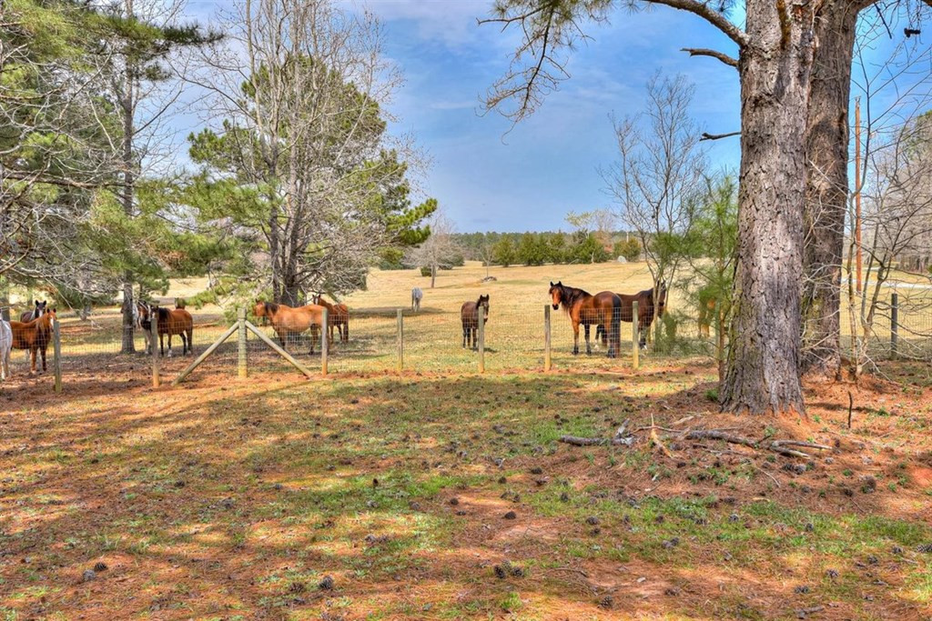 3495 Elberton Highway, Lincolnton, GA 30817 Listing Photo  13