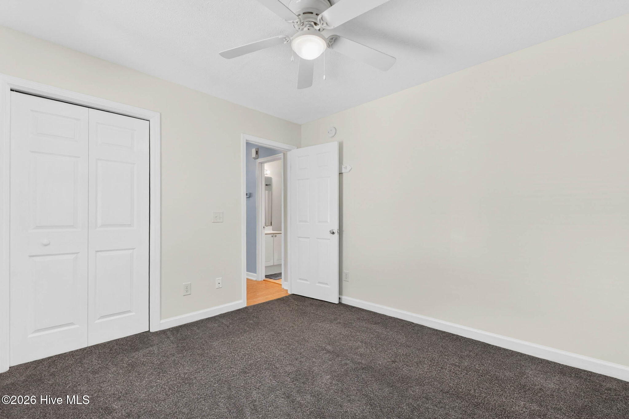 100568924 | Photo 17