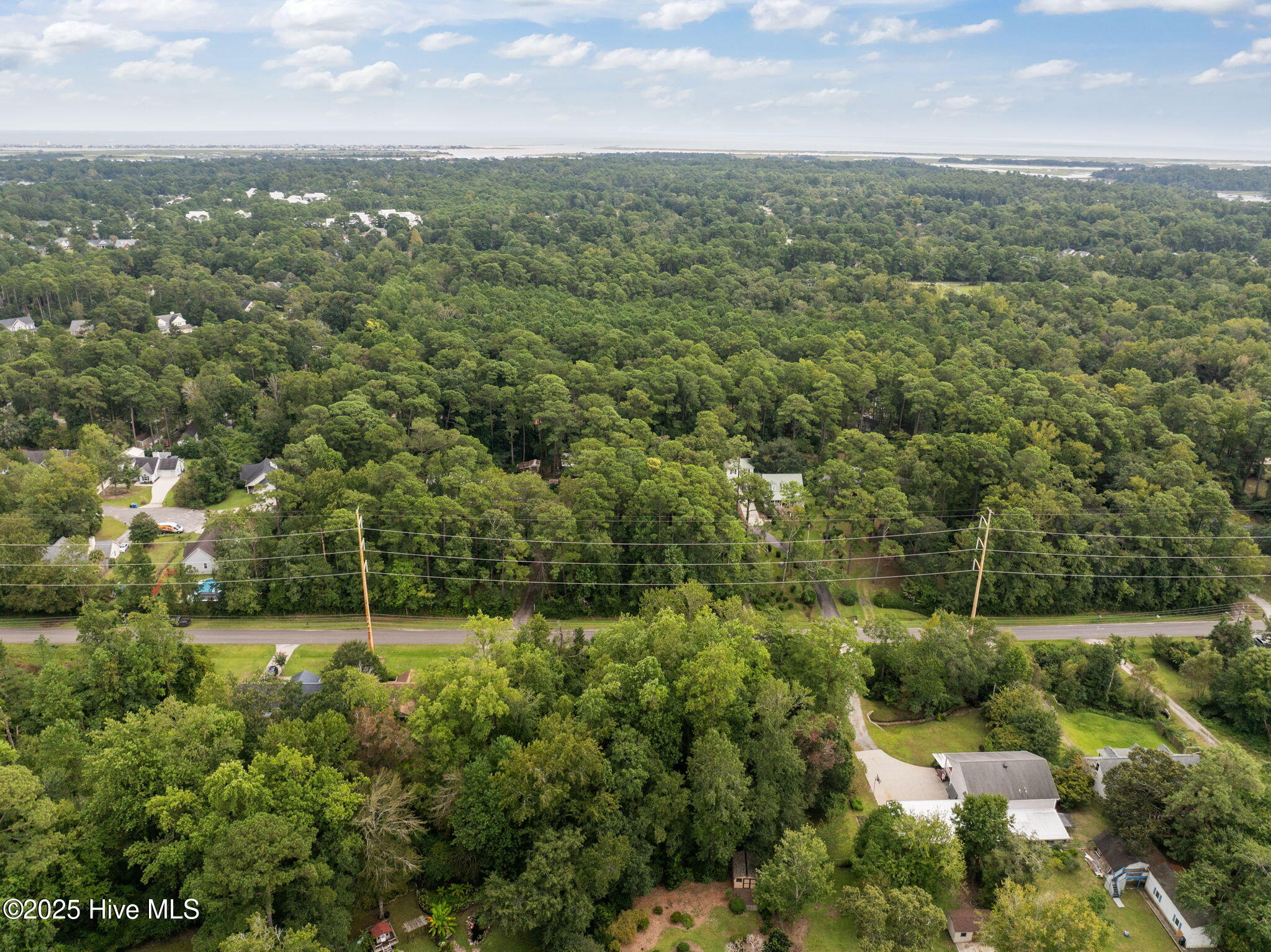 100529798 | Photo 14