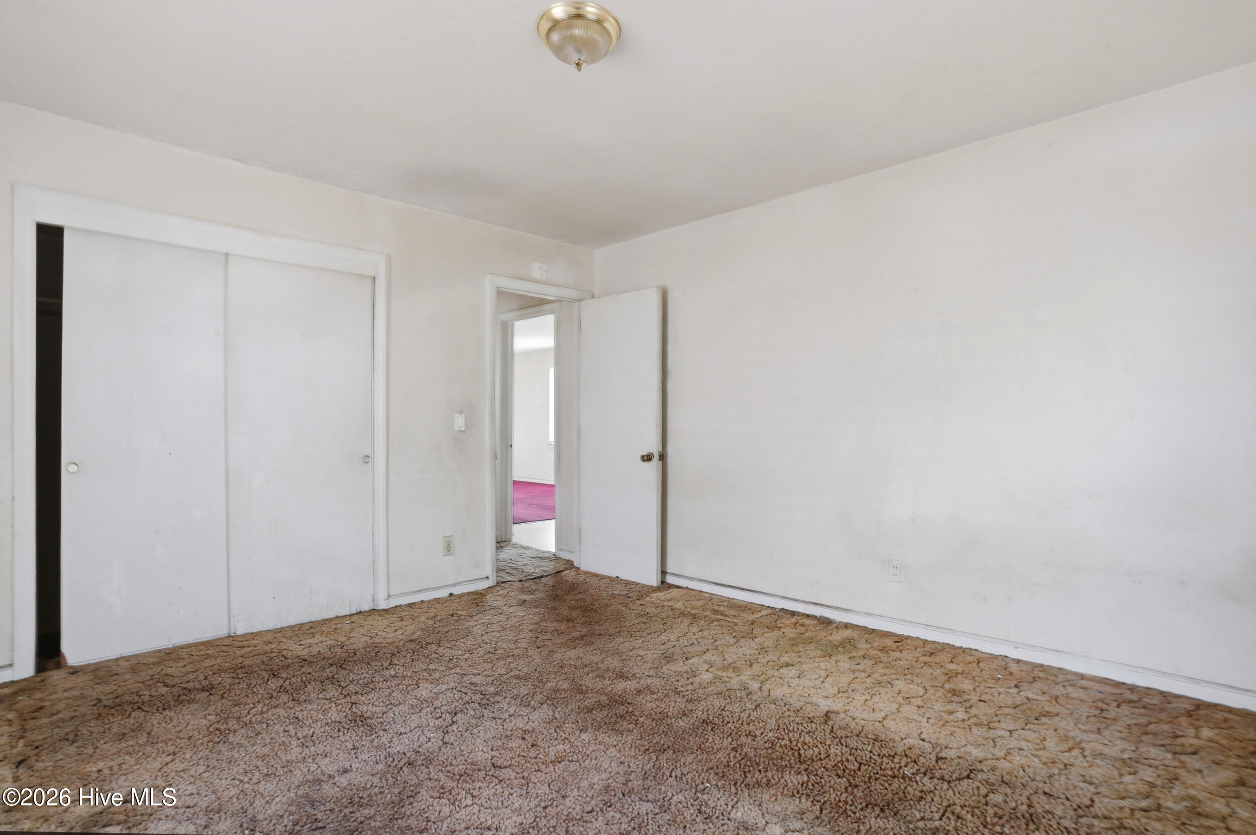 100564252 | Photo 12