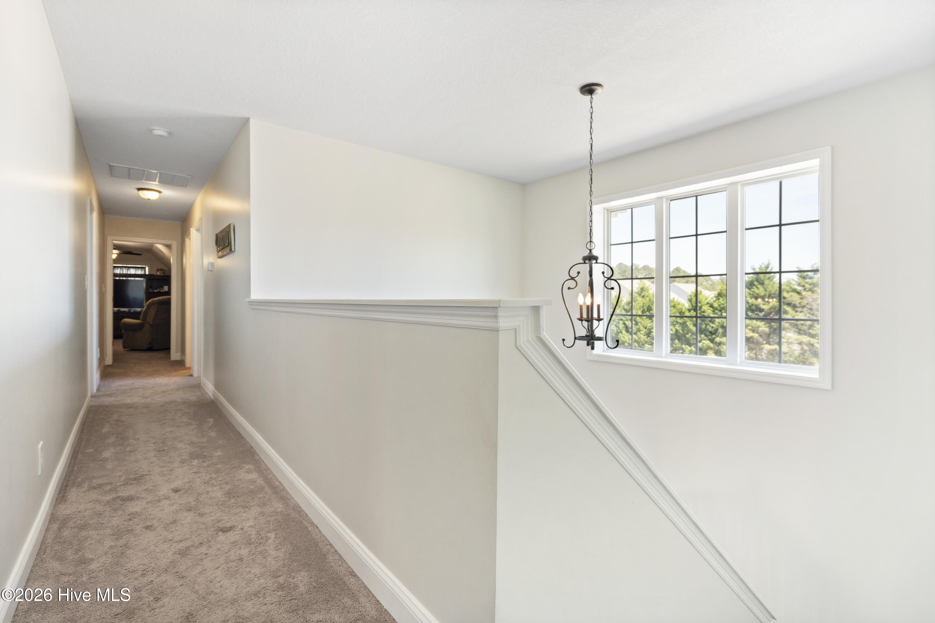 100564878 | Photo 30