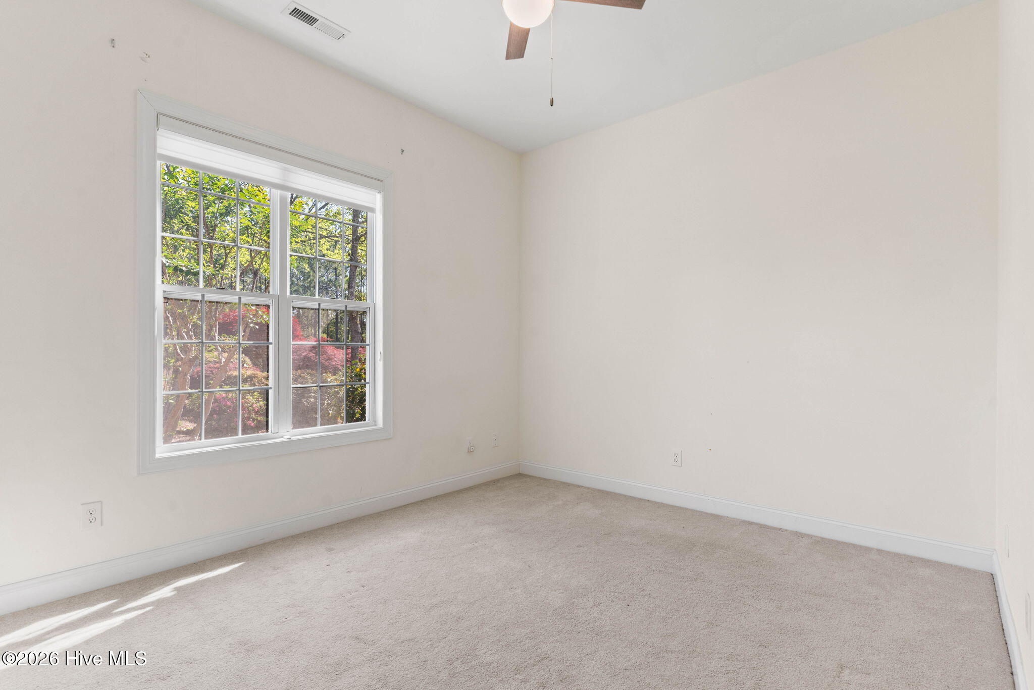 100568005 | Photo 27