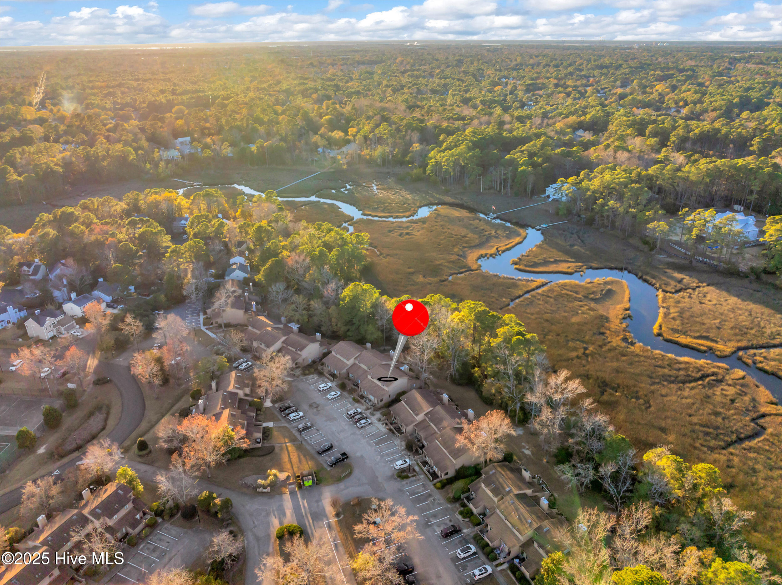 100546110 | Photo 27