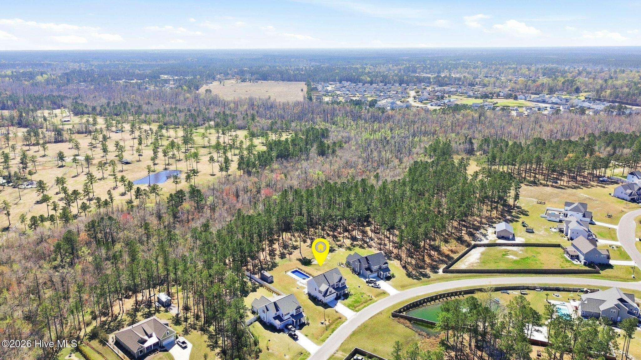 100562109 | Photo 124