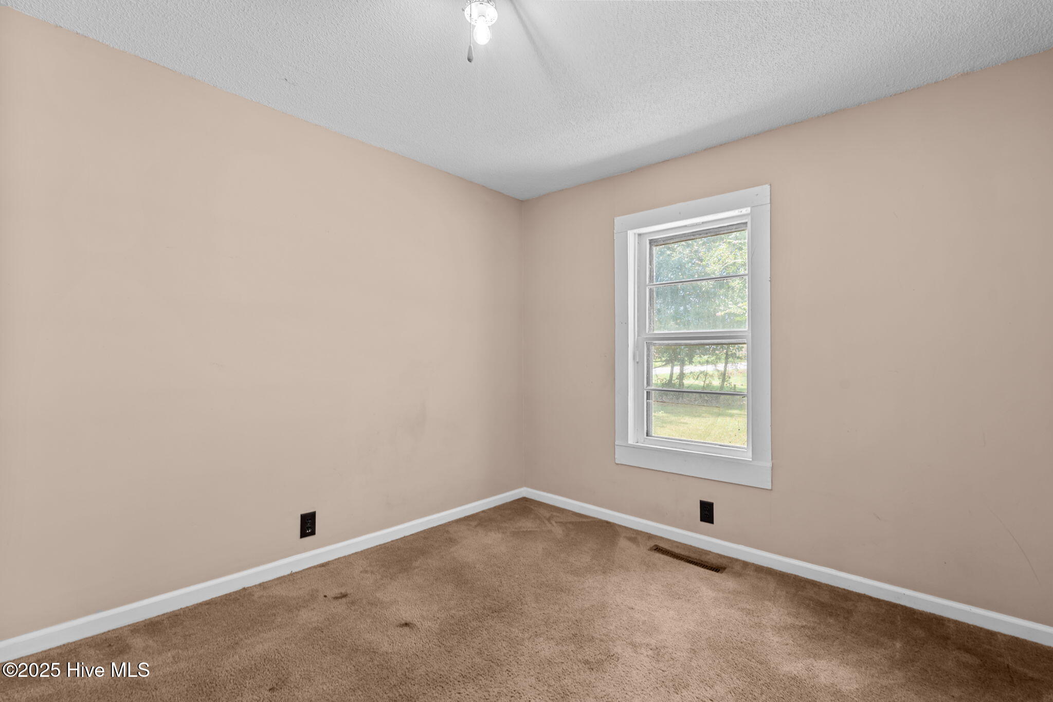 100529357 | Photo 12