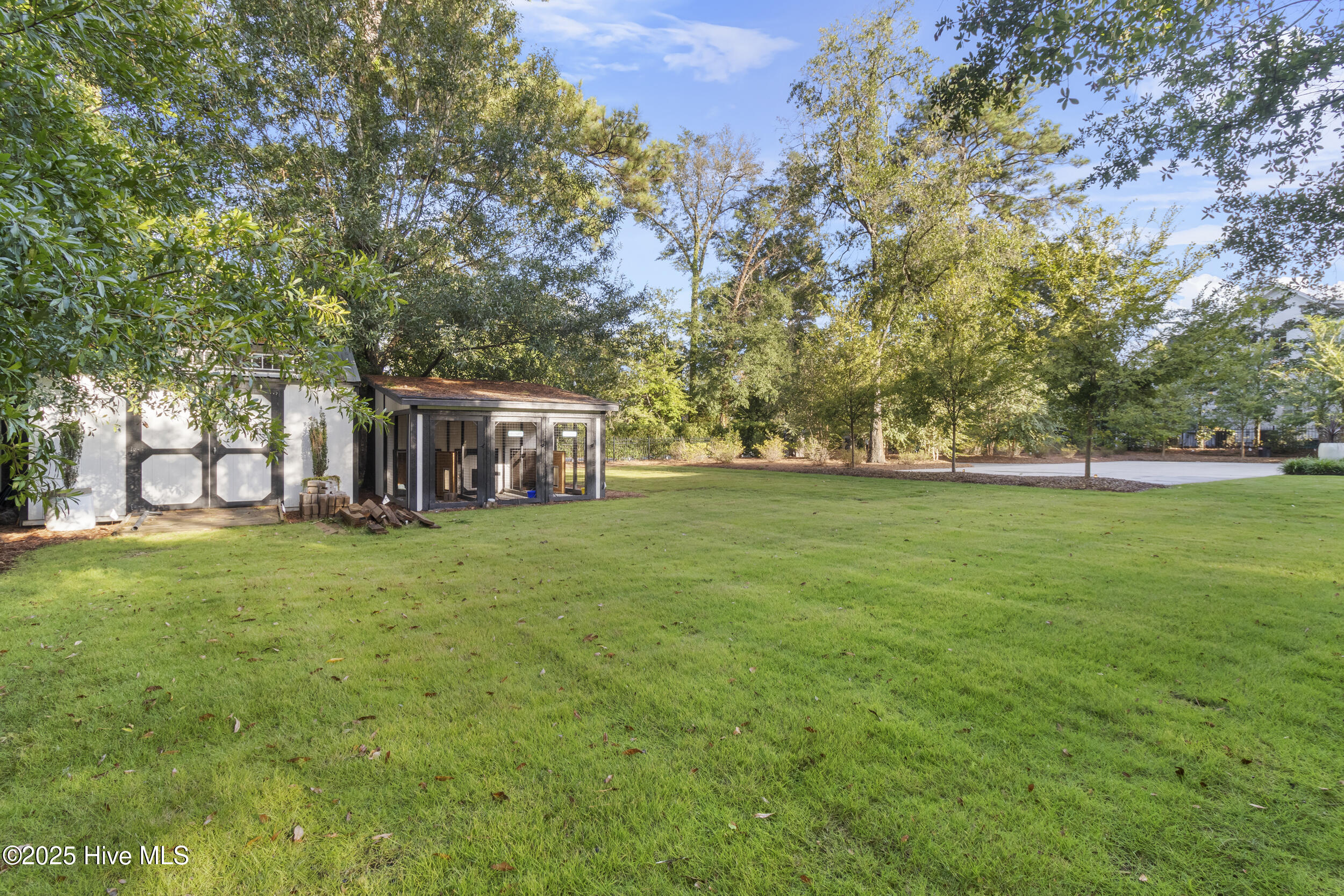 100534920 | Photo 61