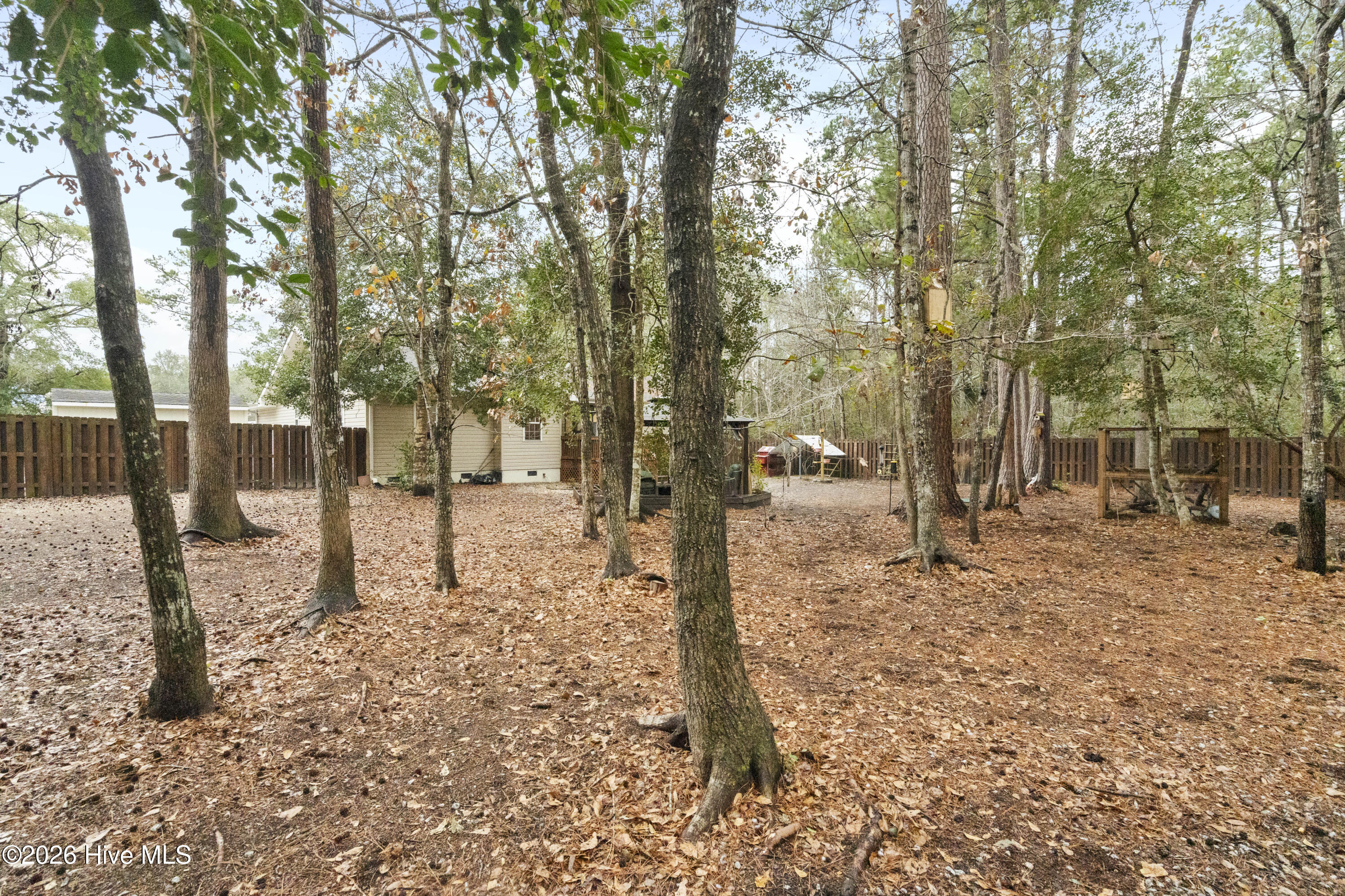 100551762 | Photo 38