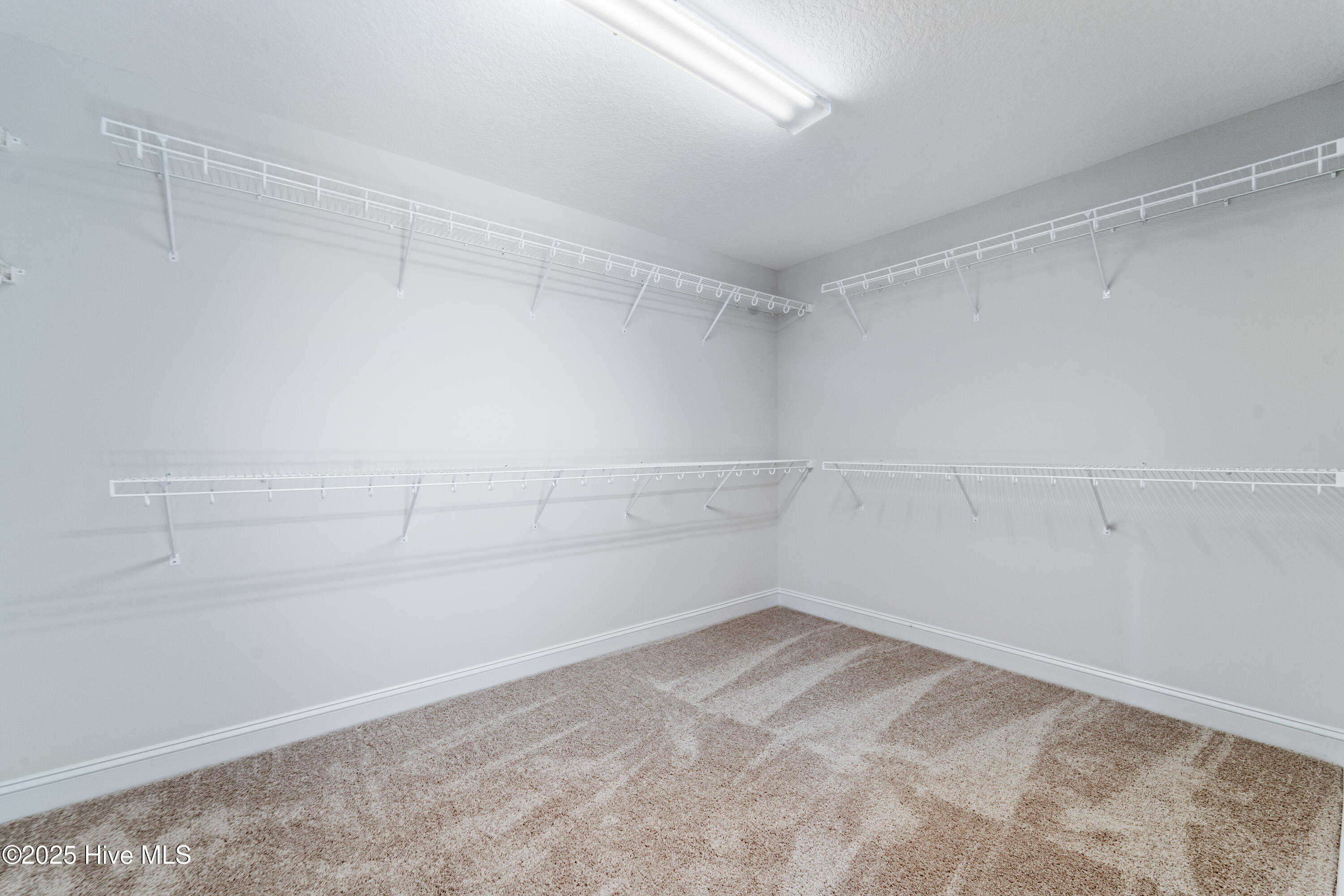 100514774 | Photo 24