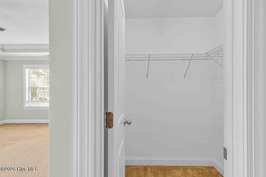 100566446 | Photo 47