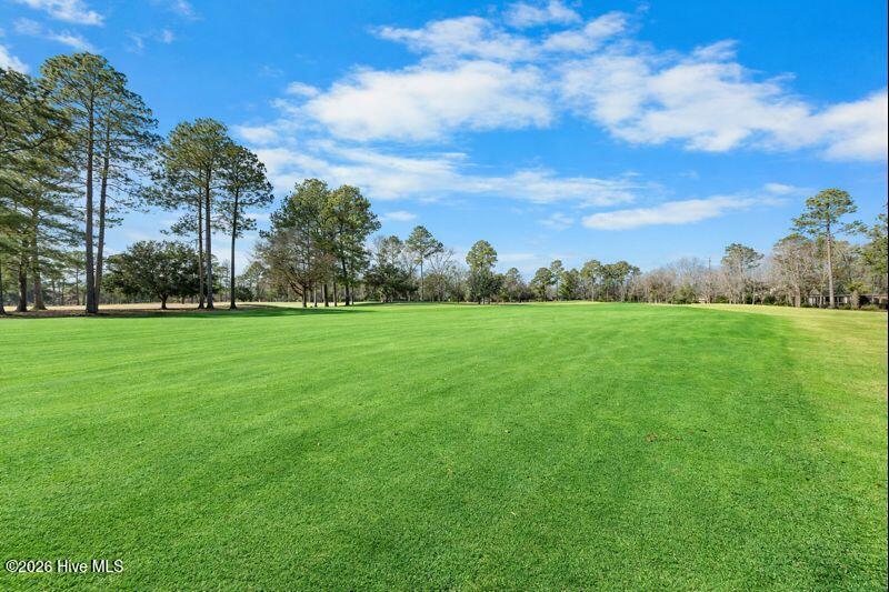 100548095 | Photo 70