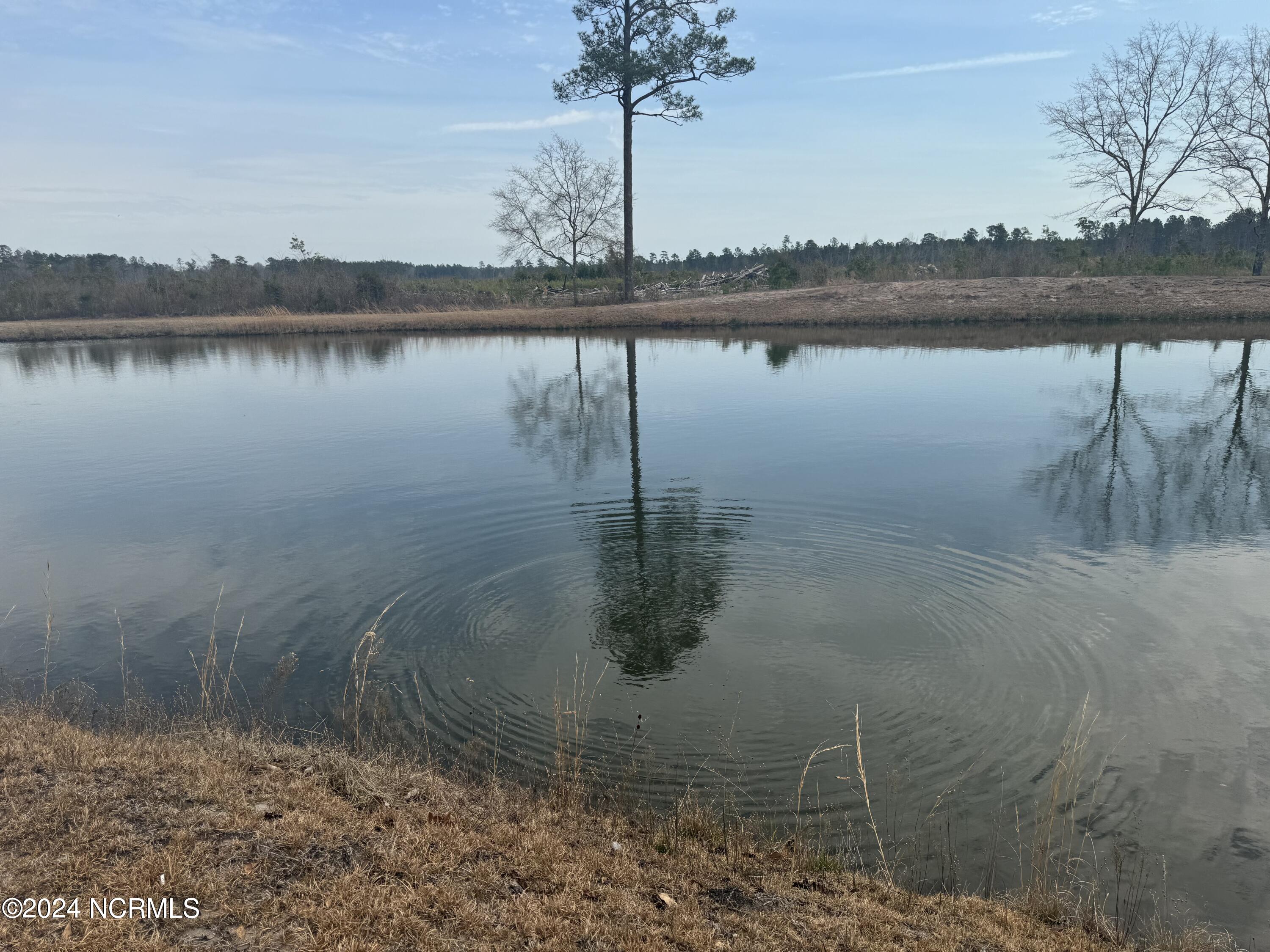 3506 Whitehall Road, Whiteville, NC, 28472