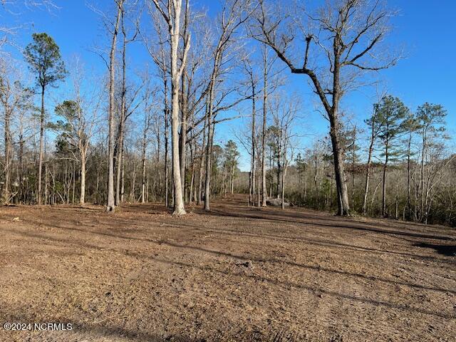 100446082 | Photo 12