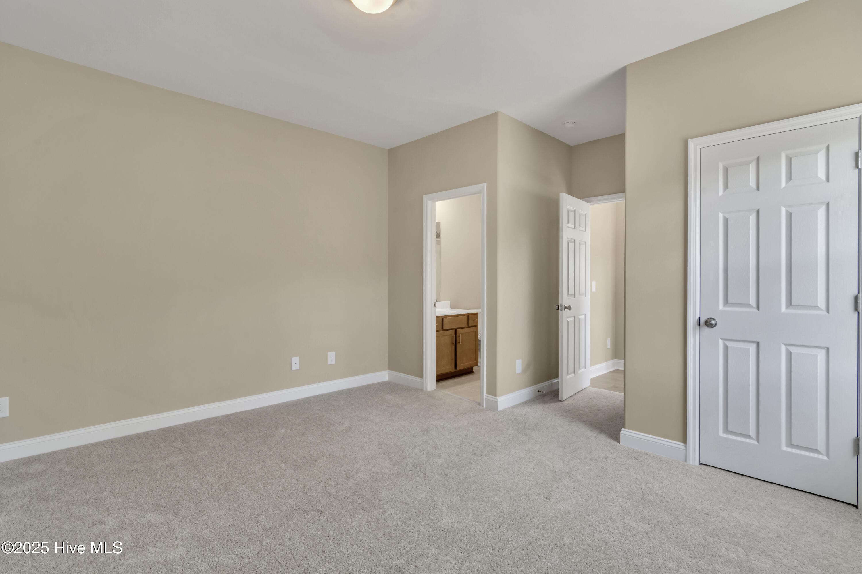 100566089 | Photo 18