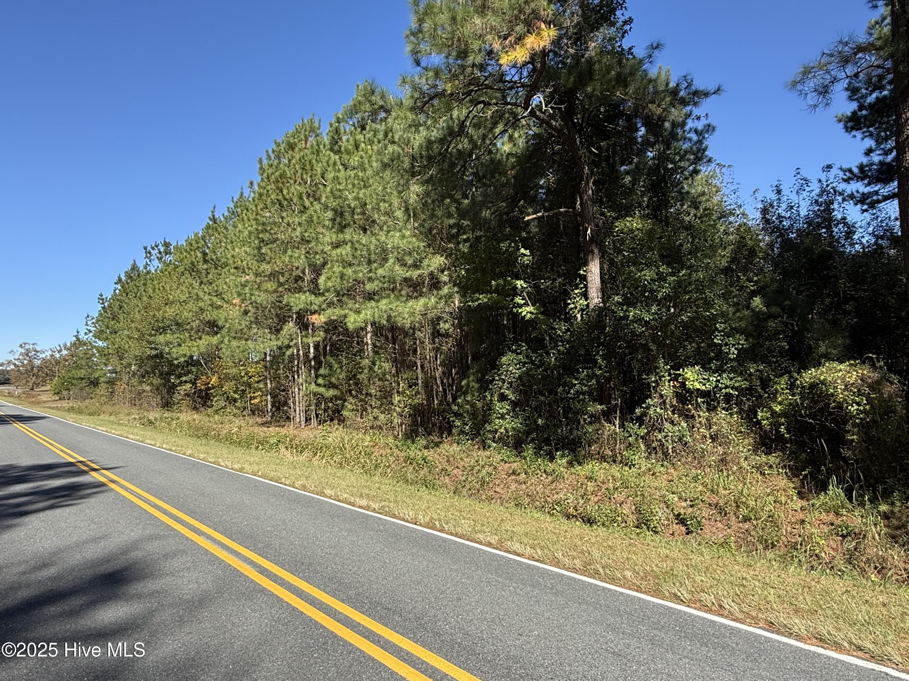 Homes for sale in Clarkton, NC | 178 Acres Harrelson Rd, Clarkton, NC 28433 | MLS# 100539379