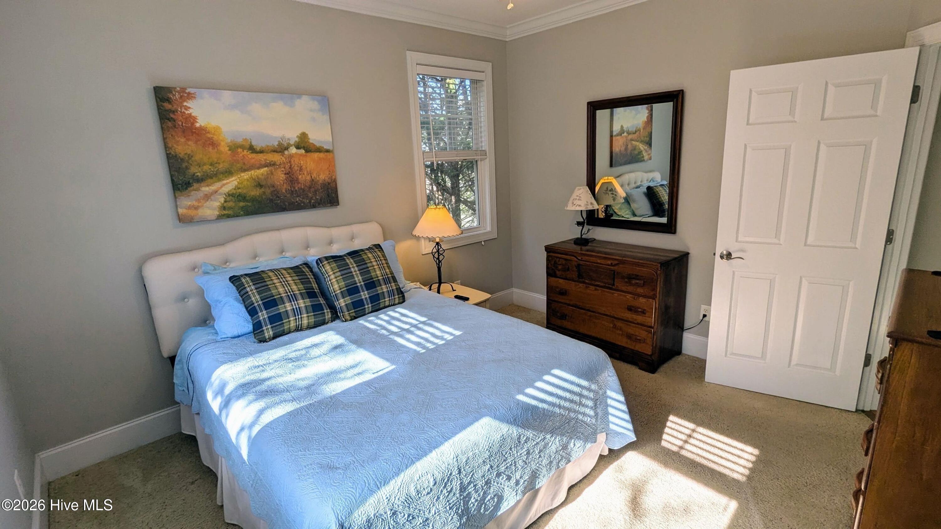 100550094 | Photo 18