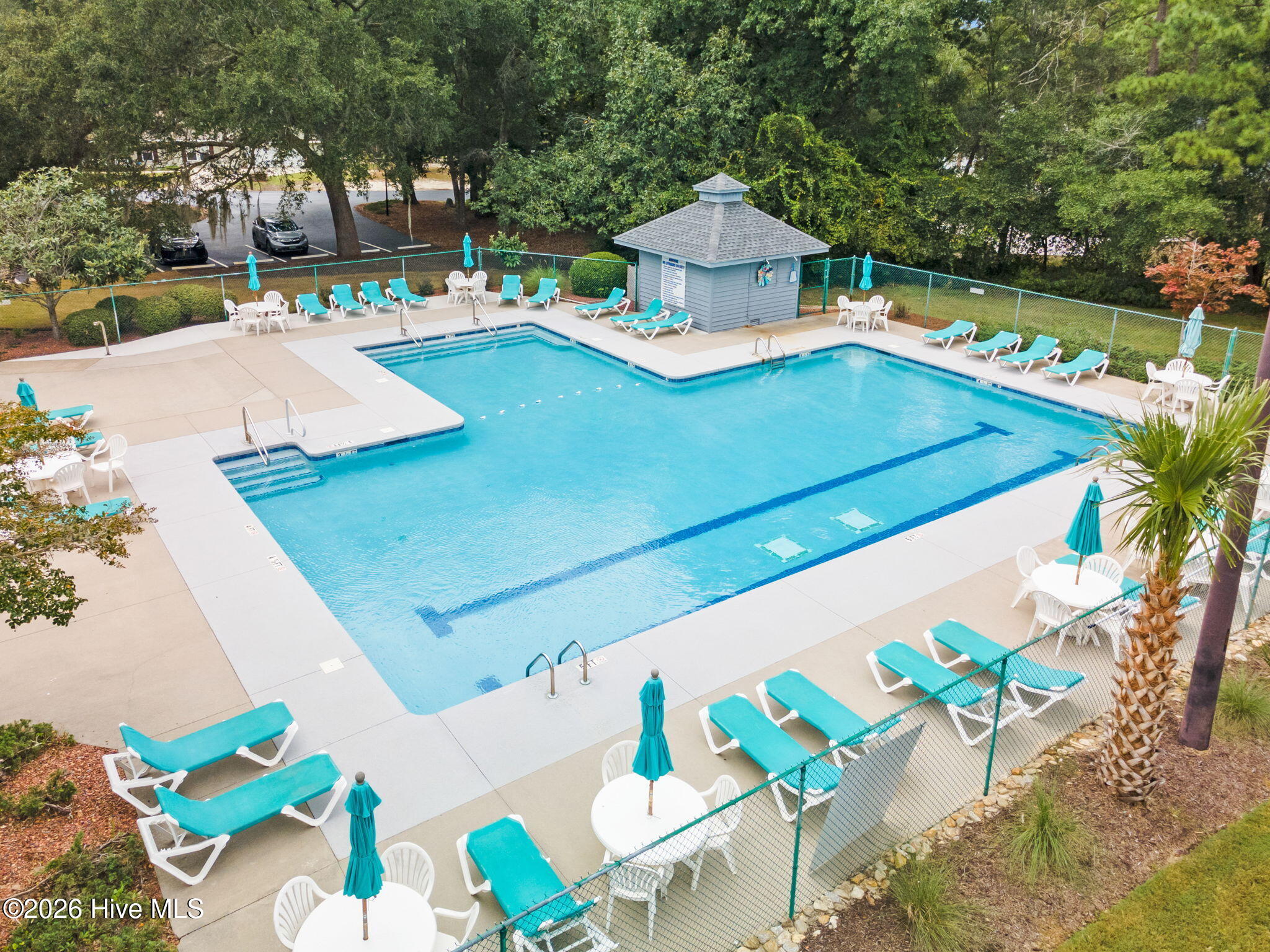 100558915 | Photo 30