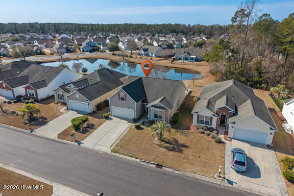 100553746 | Photo 35