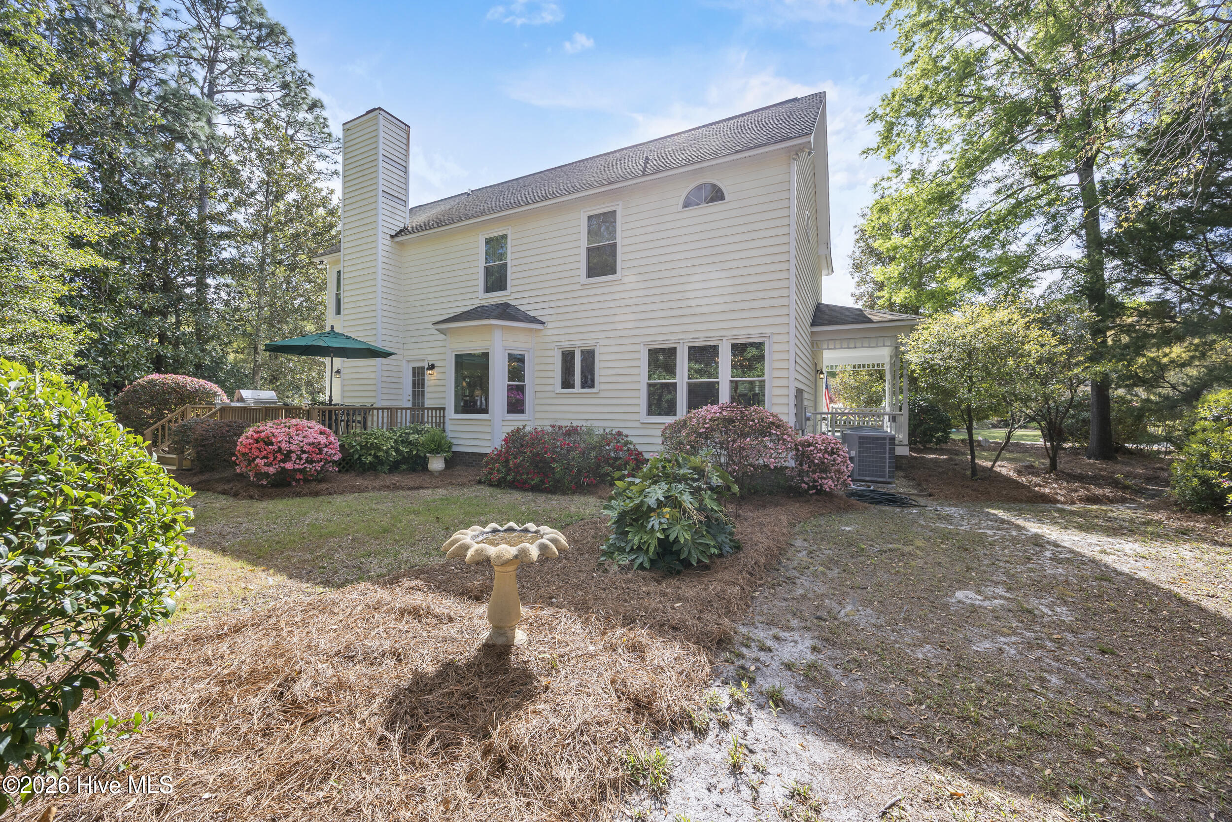 100564035 | Photo 50