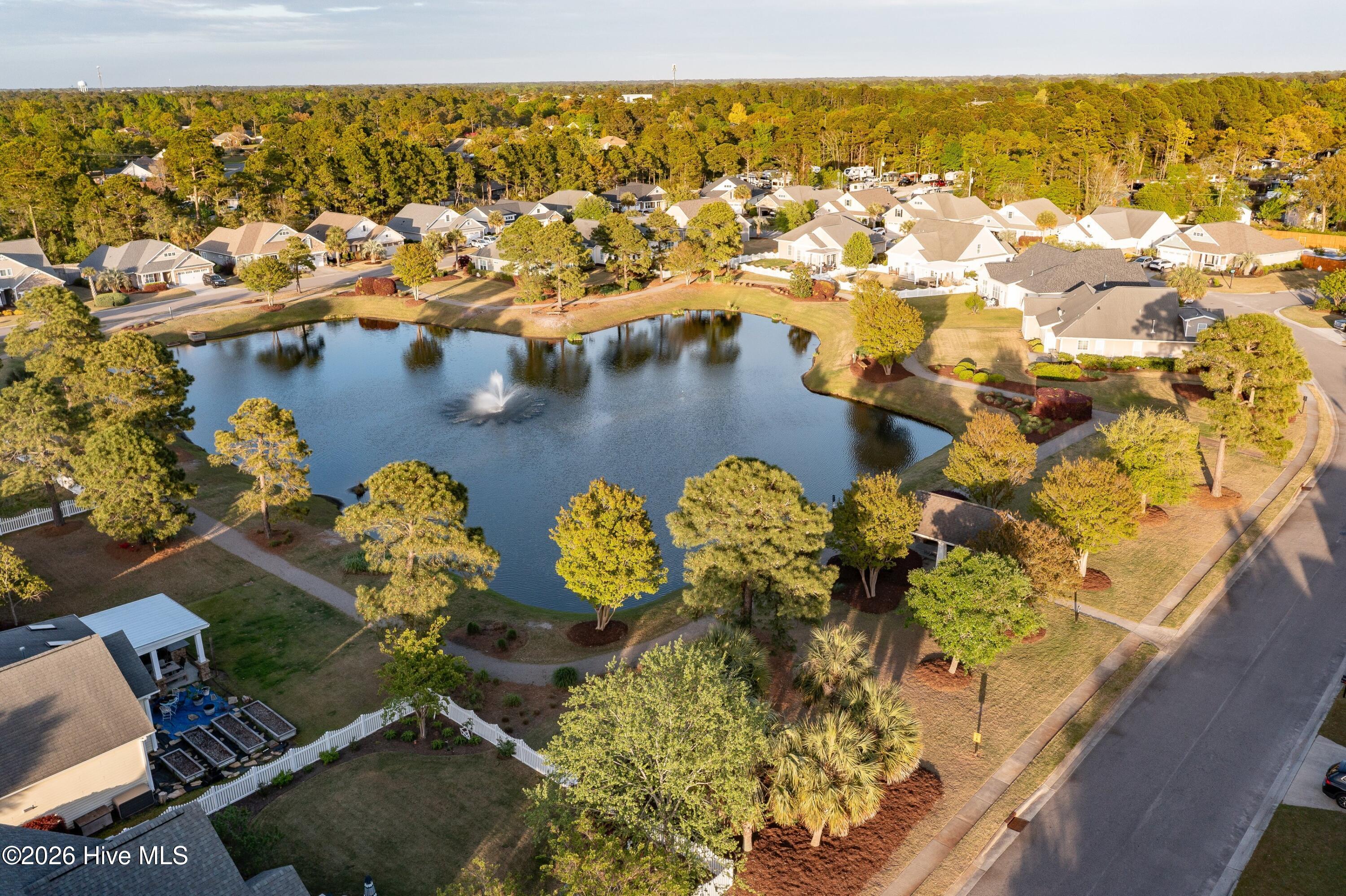 100566210 | Photo 34