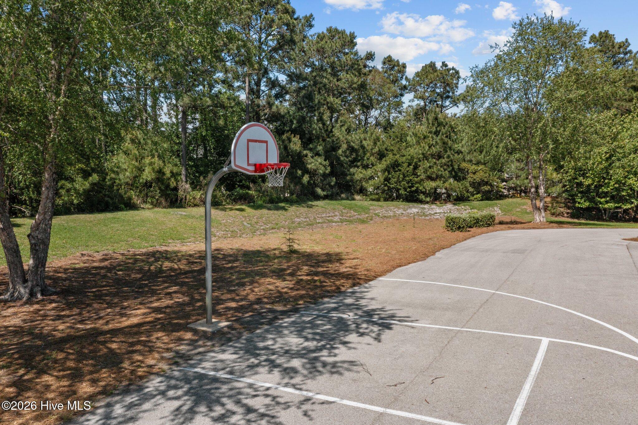 100556667 | Photo 70