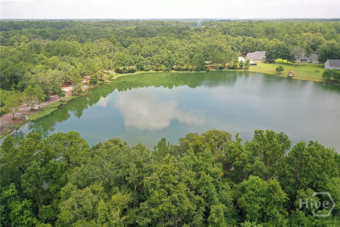 35th image of 1954 Oak Level Rd, Richmond Hill, GA 31324 | MLS# SA362173