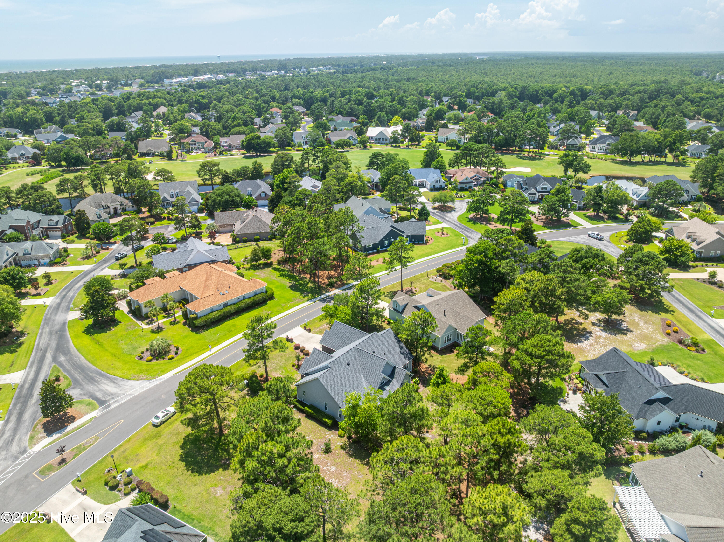 100480816 | Photo 57