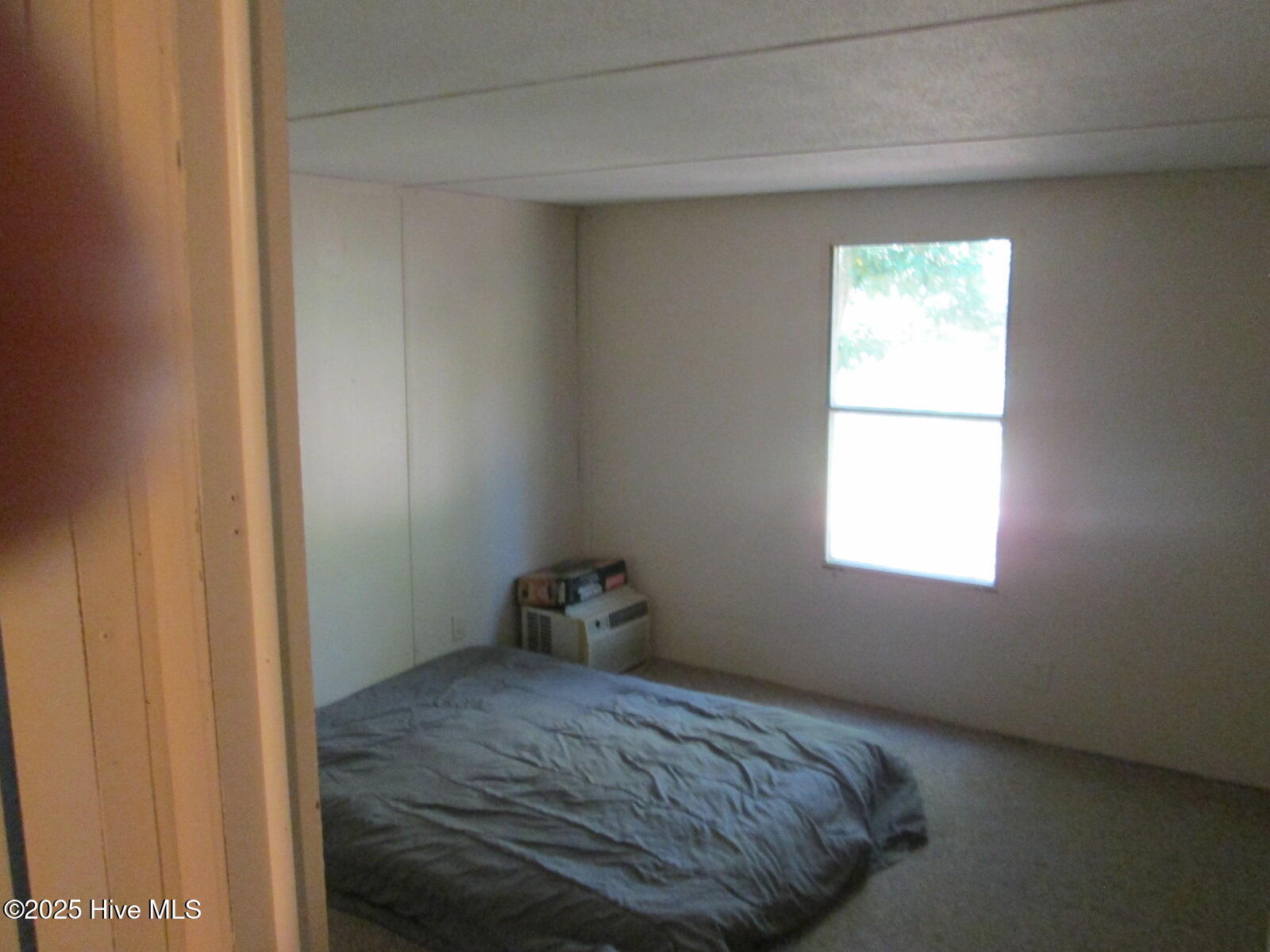 100537698 | Photo 15