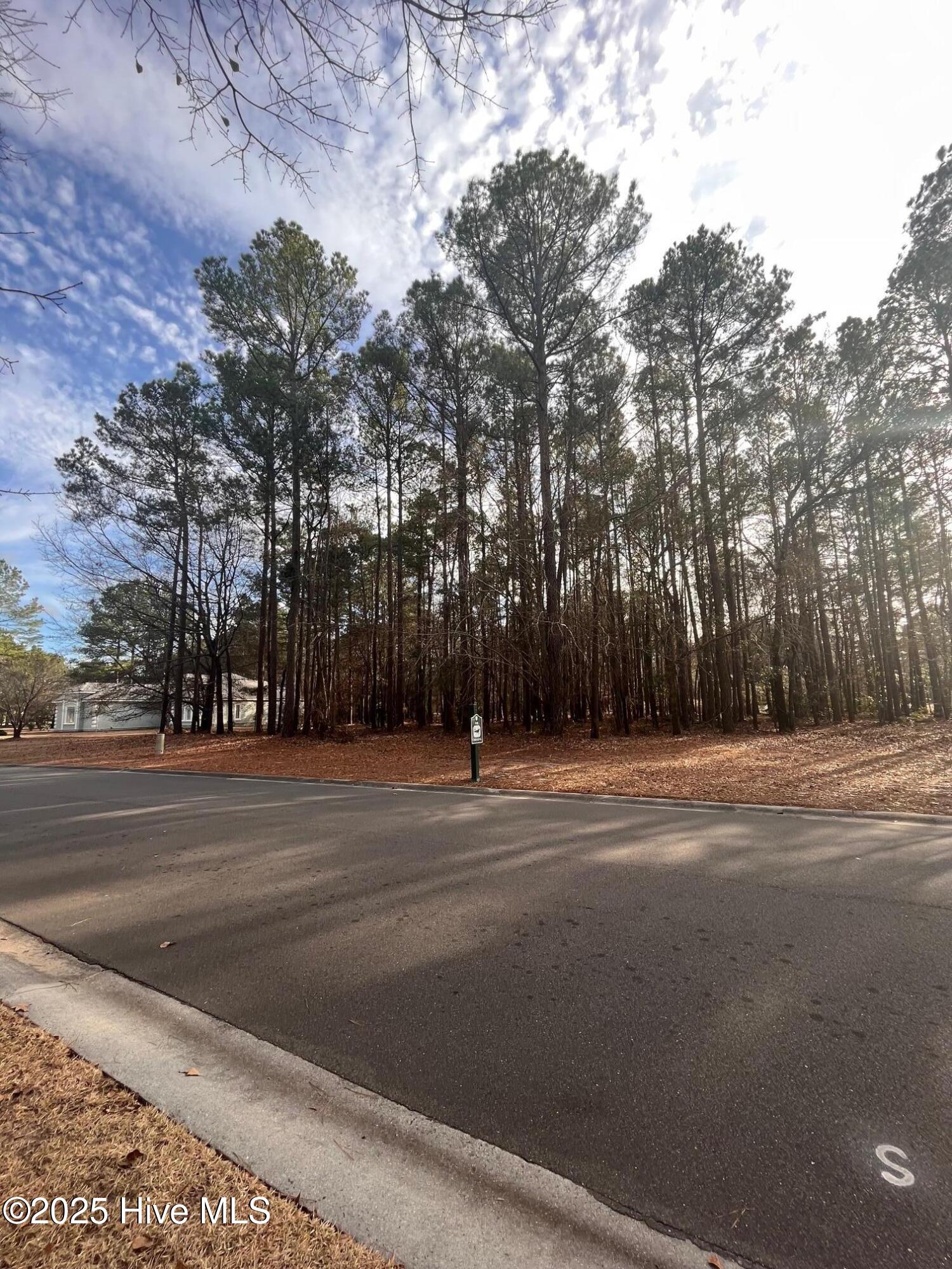 264 Red Fox Run Drive, Wallace, NC, 28466