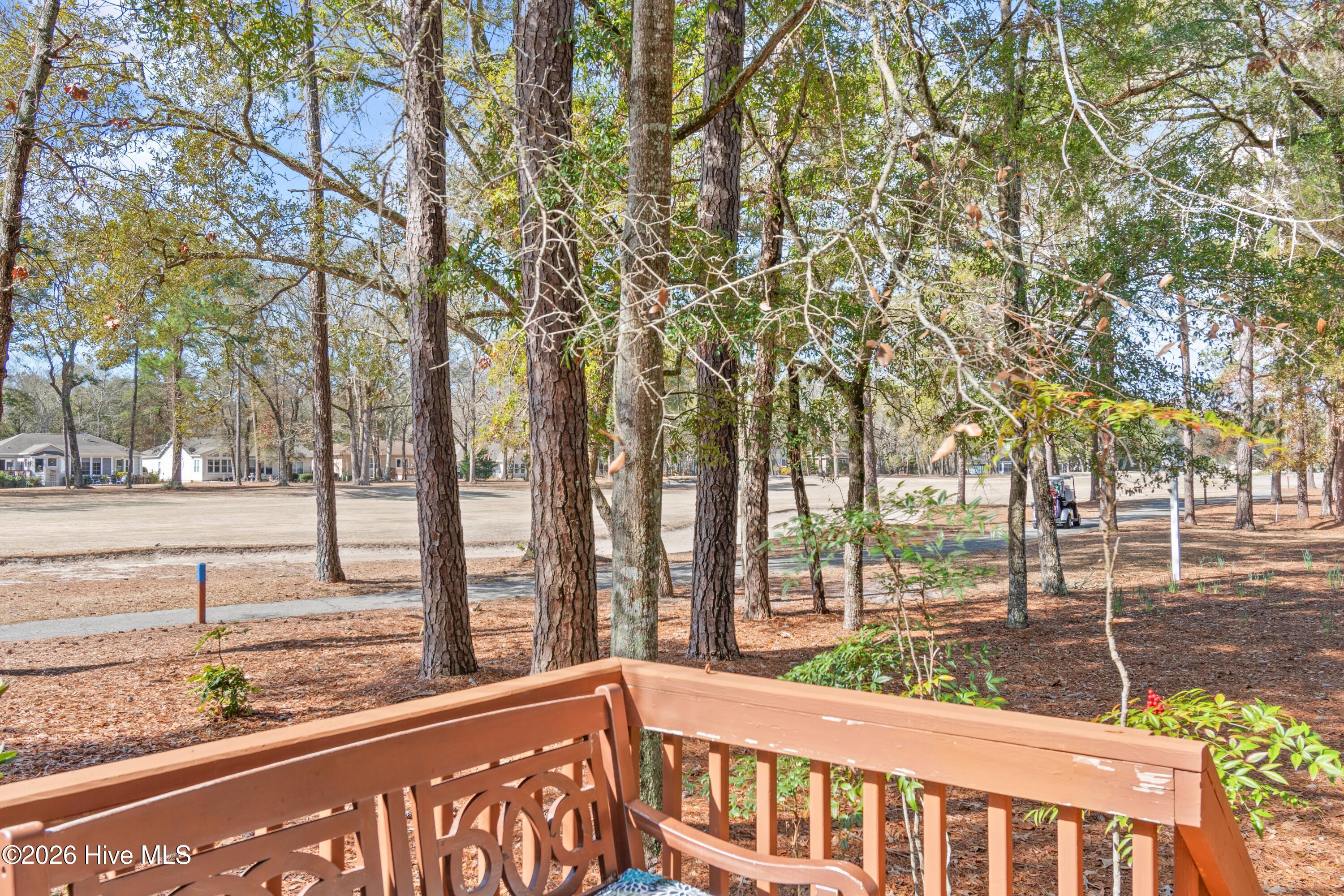 100558651 | Photo 47