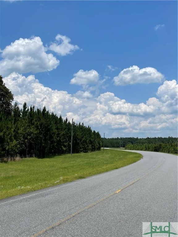 0 RAHN STATION Road, Springfield, GA, 31329