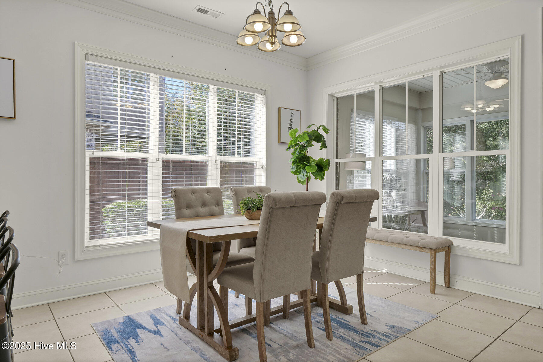 100540144 | Photo 15