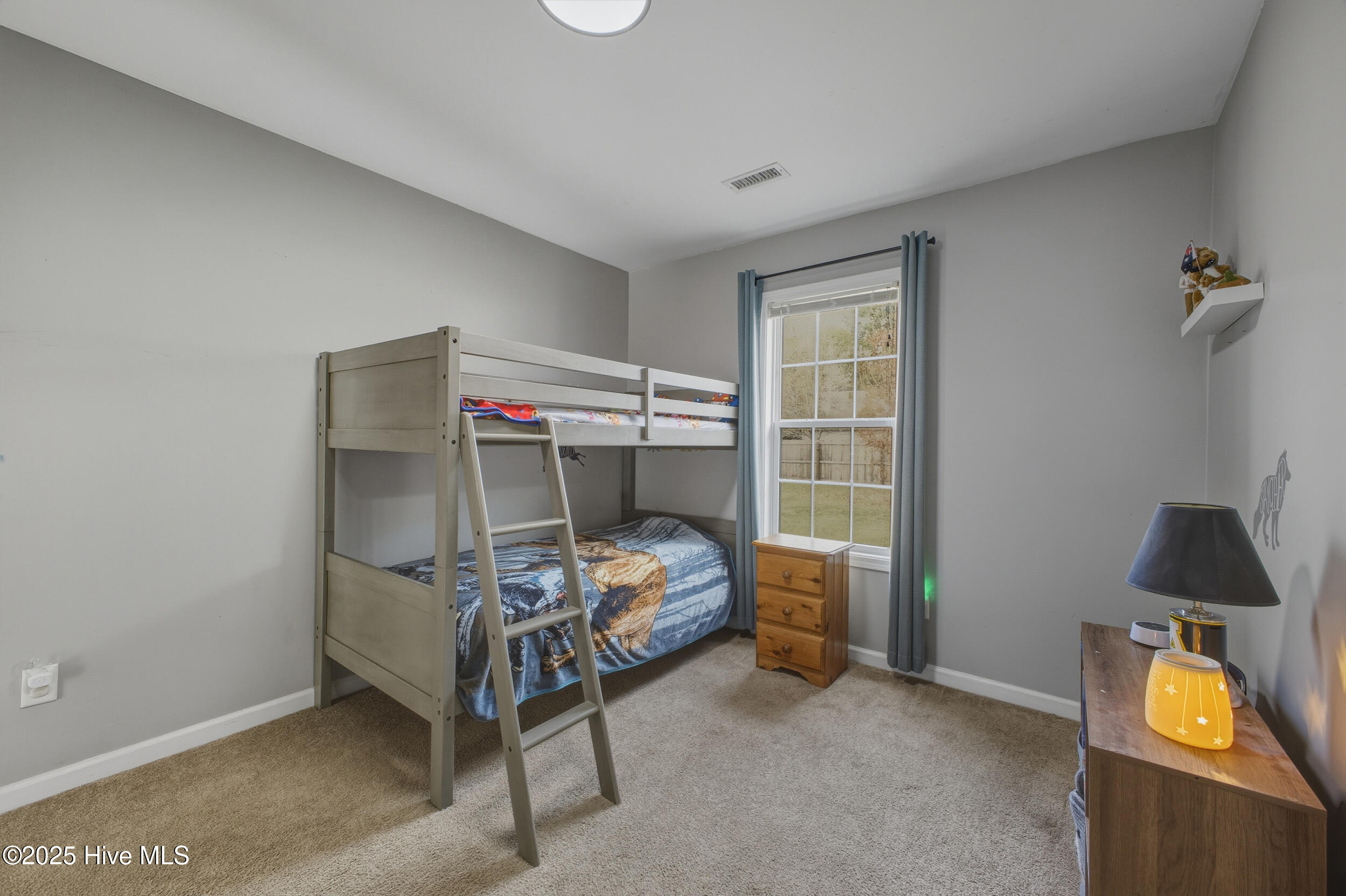 100542313 | Photo 24