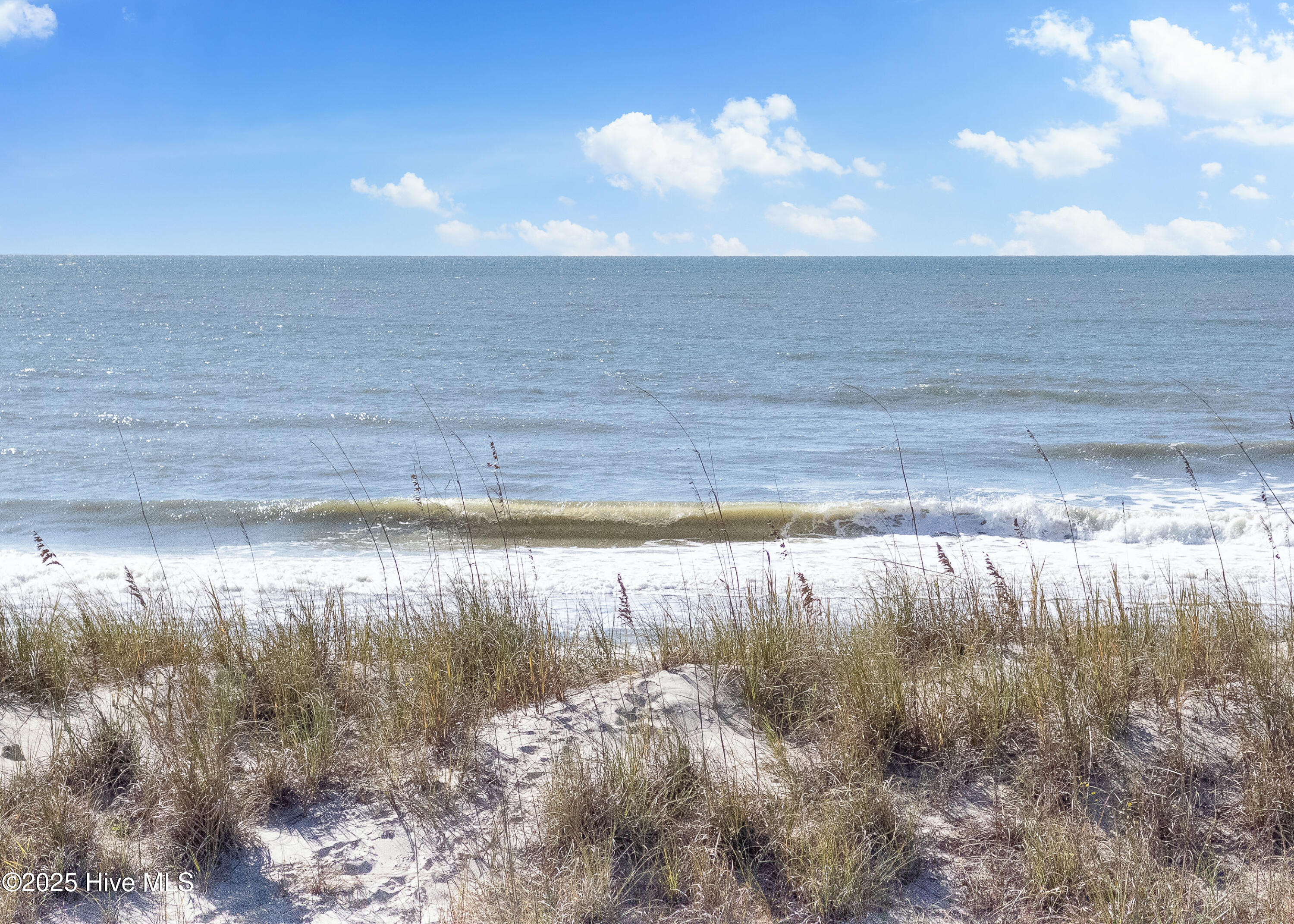 100539588 | Photo 59