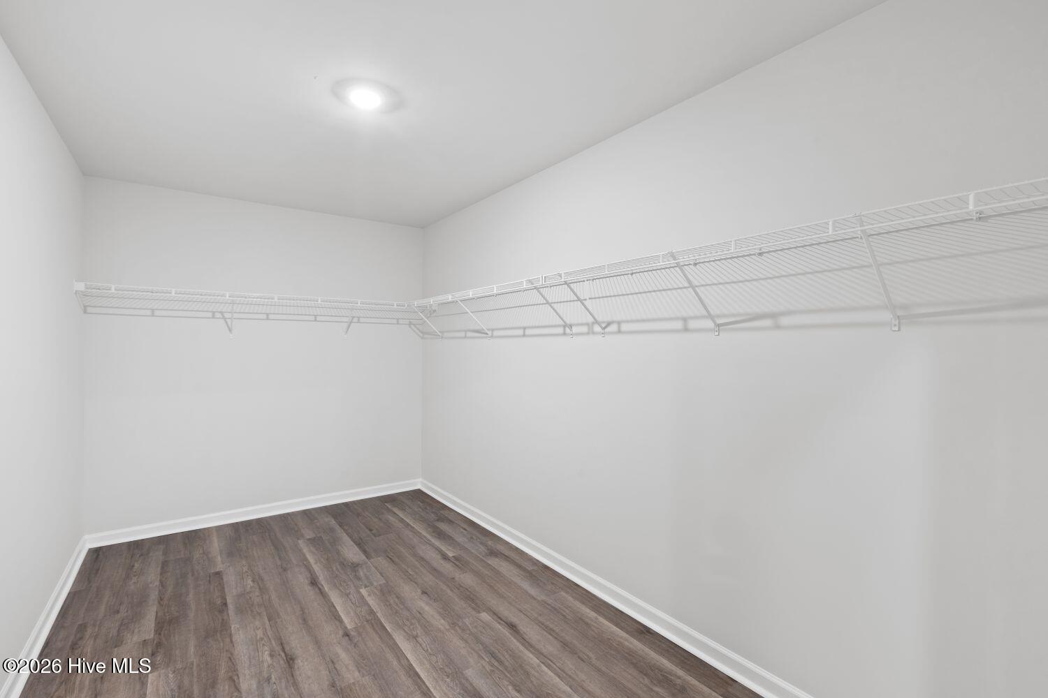 100535209 | Photo 28