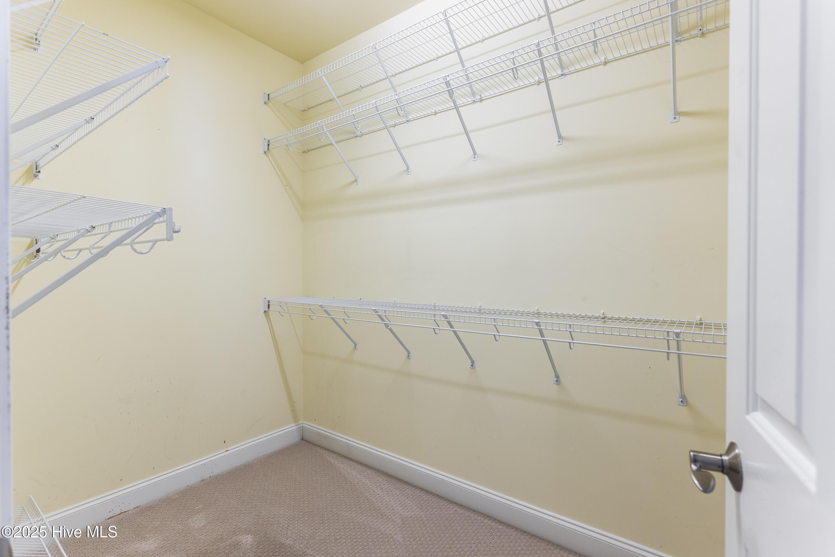 100493610 | Photo 57