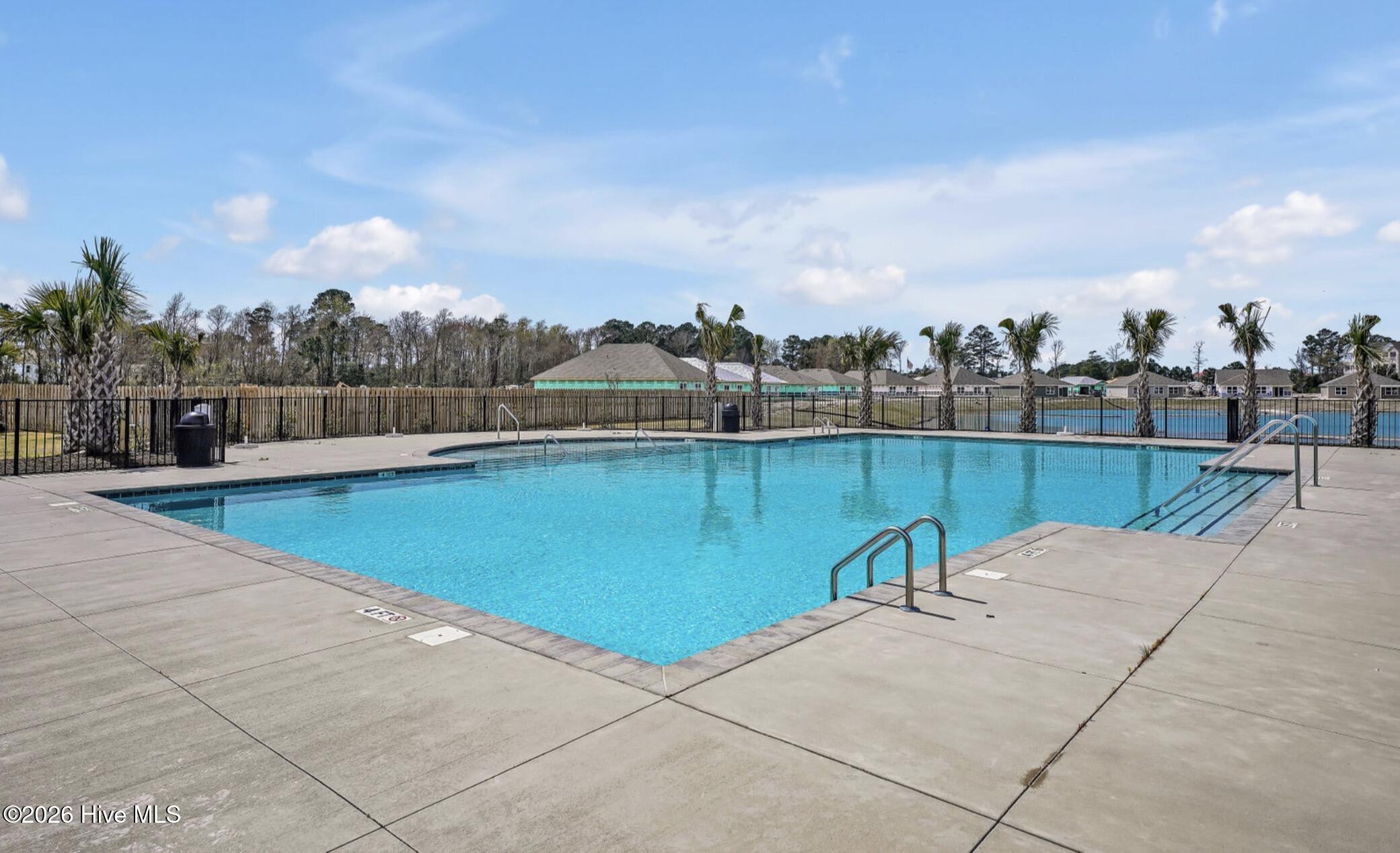 100566526 | Photo 33