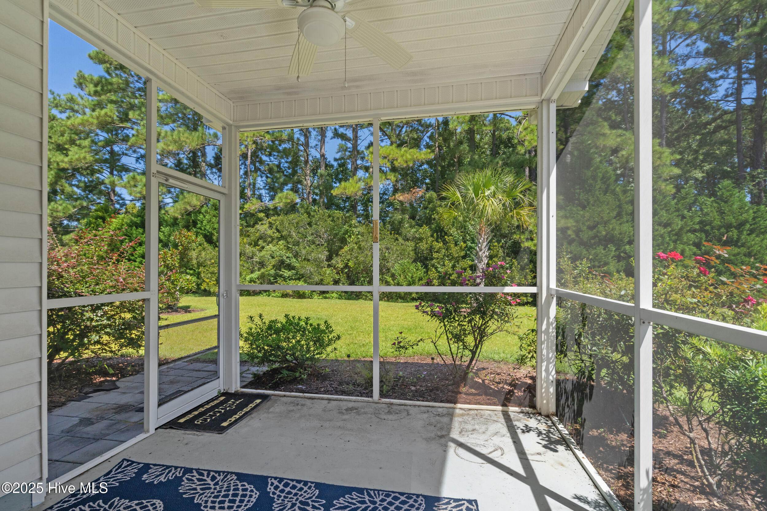 100529171 | Photo 29