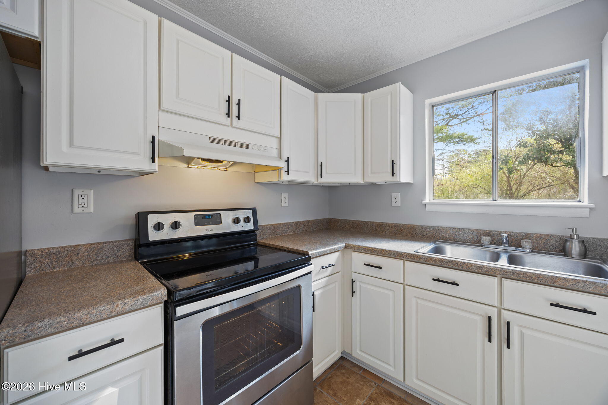 100559433 | Photo 31