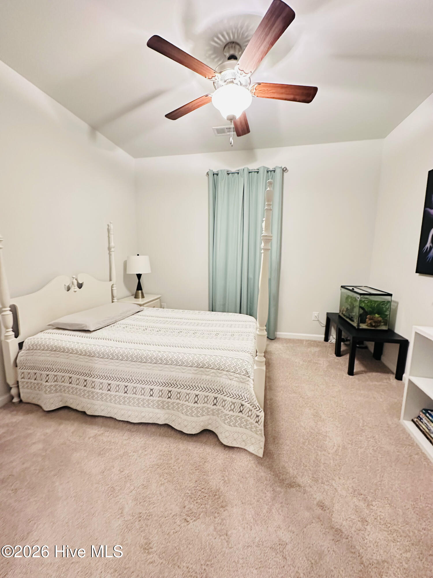 100555110 | Photo 28