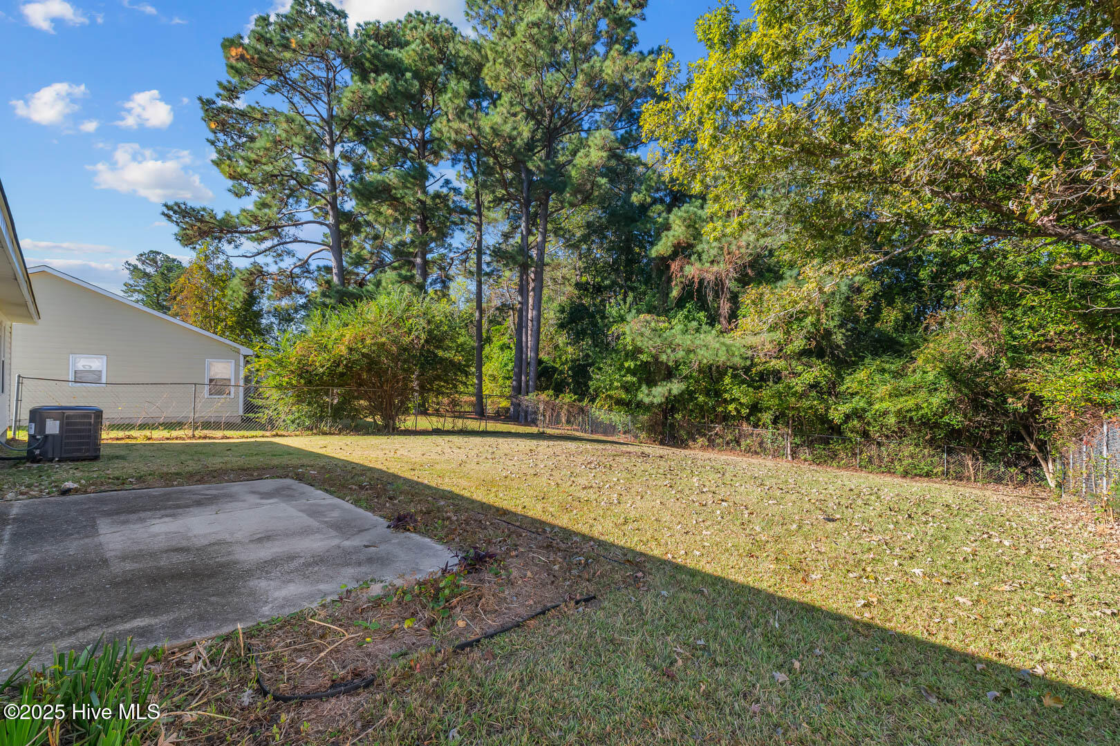 100540593 | Photo 34