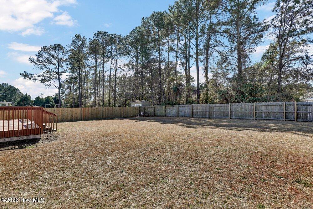 100555437 | Photo 23