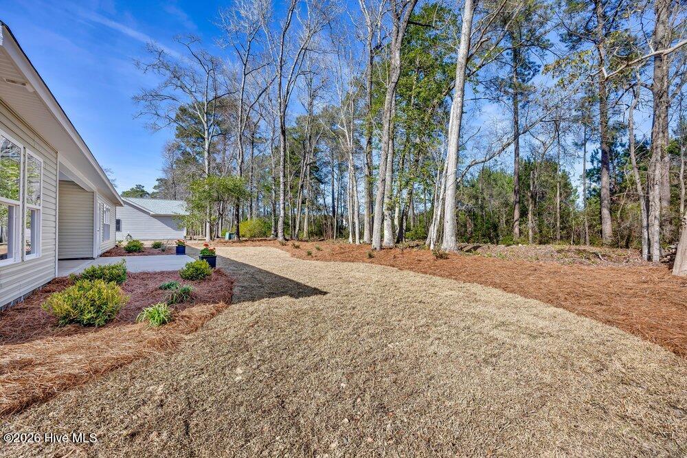 100559132 | Photo 30