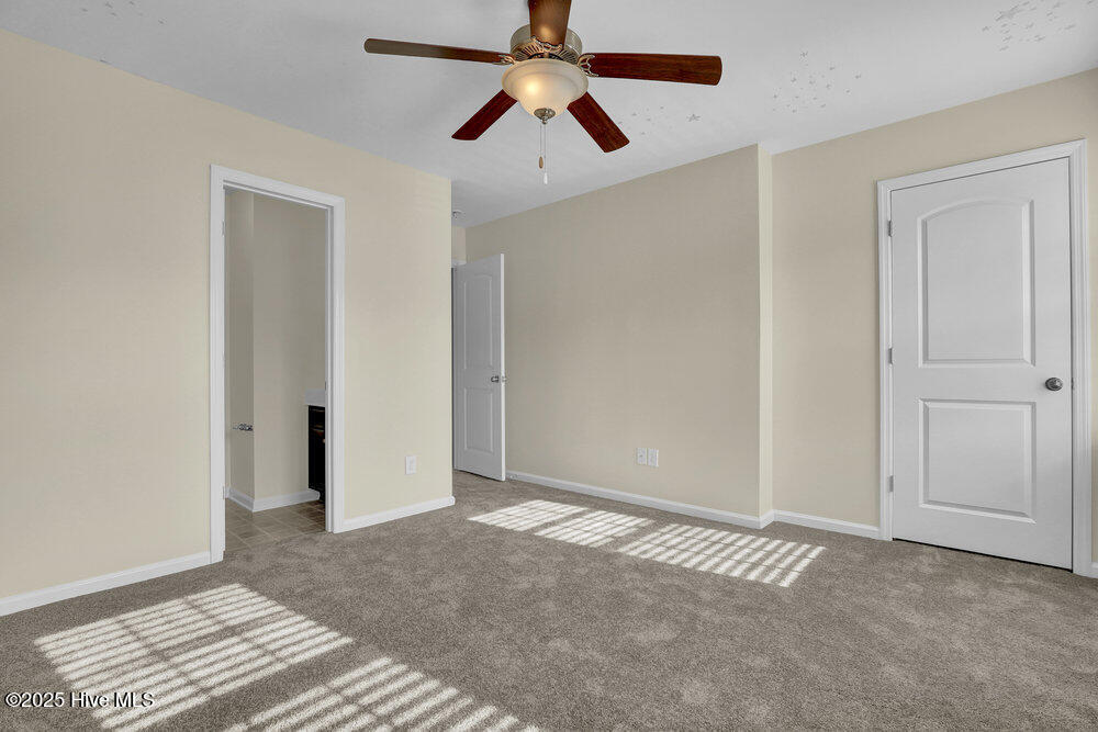 100546186 | Photo 22