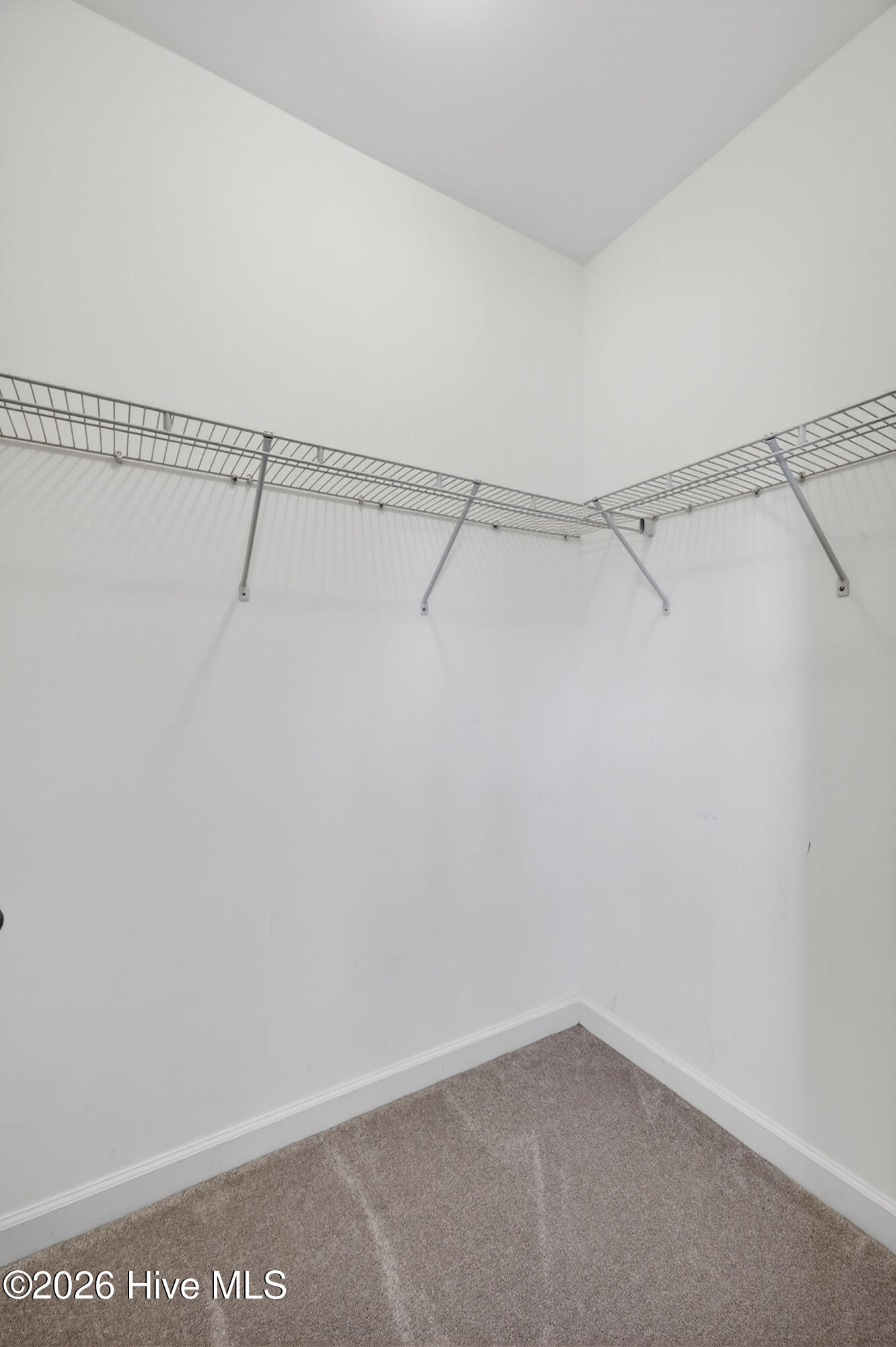 100564802 | Photo 25