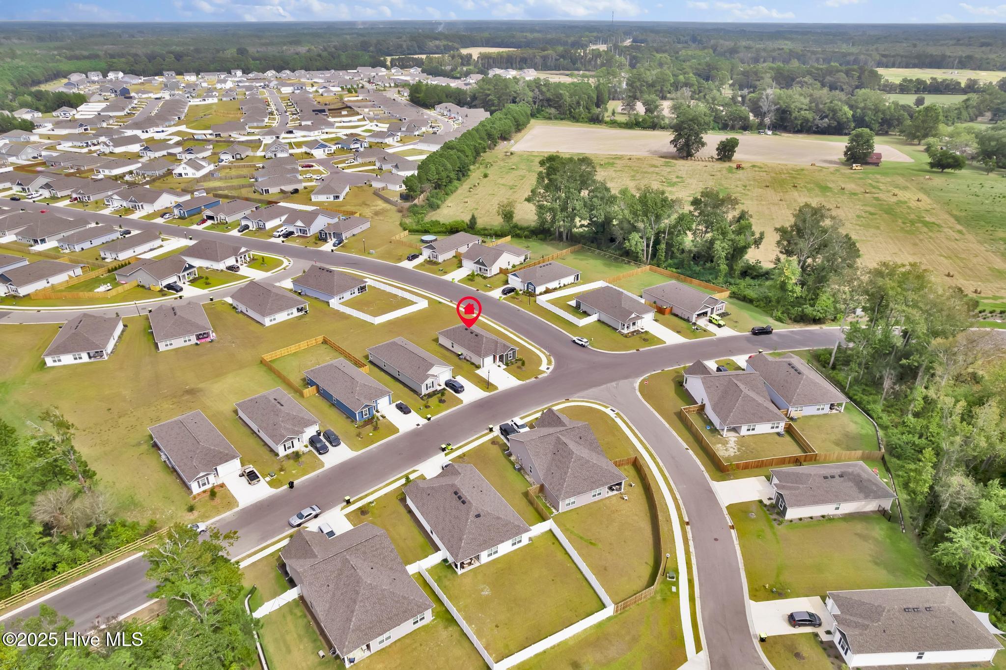 100532272 | Photo 35