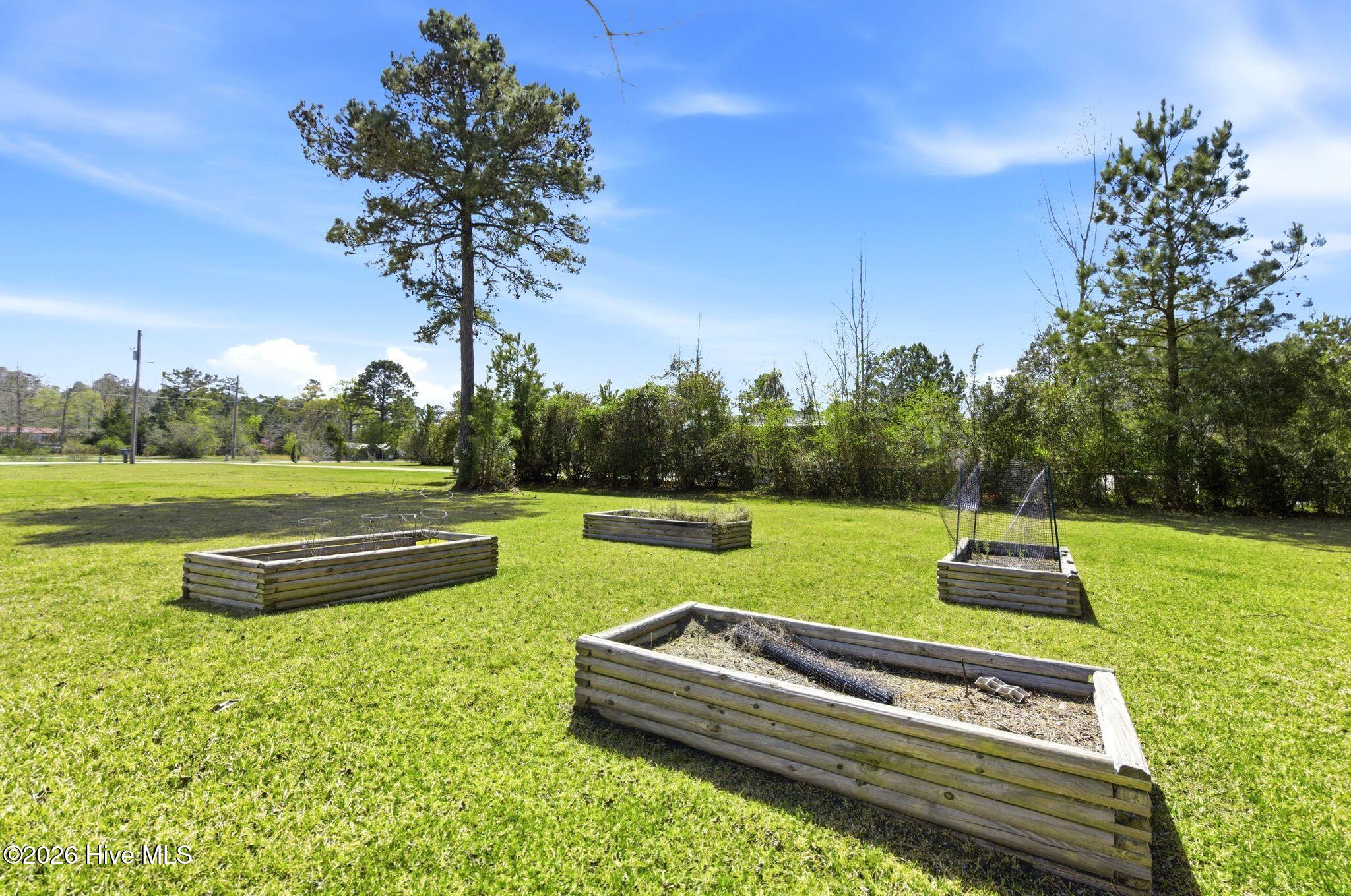 100561551 | Photo 58