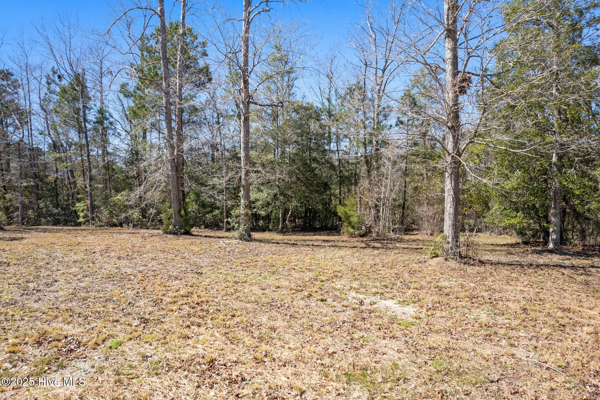 100495468 | Photo 11