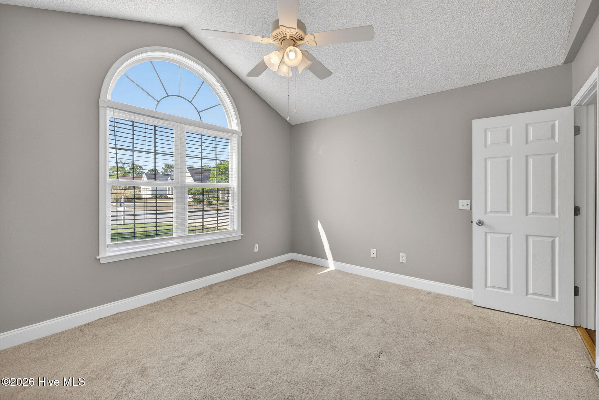 100567881 | Photo 31