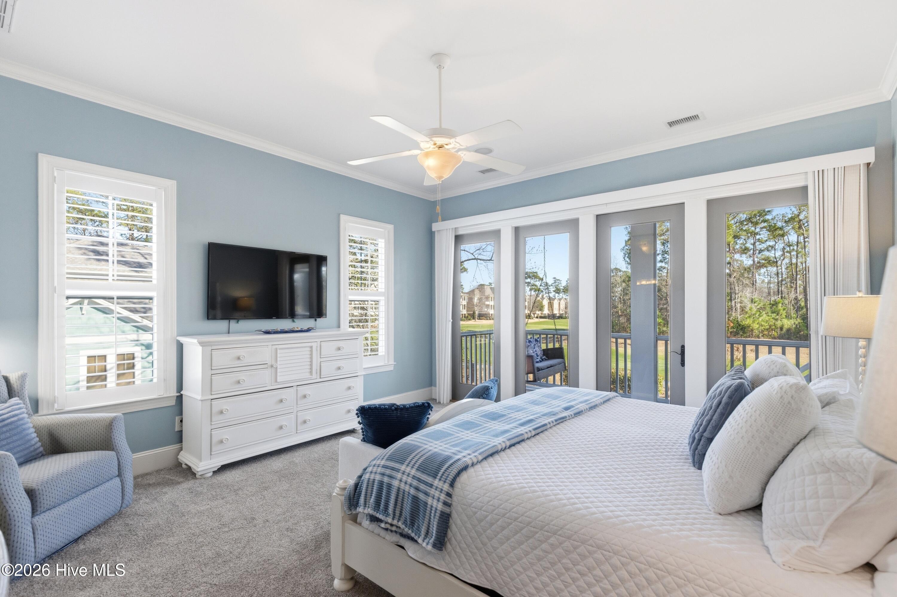 100556078 | Photo 39